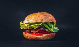 汉堡爆料视频大全集,揭秘幕后真相与精彩瞬间