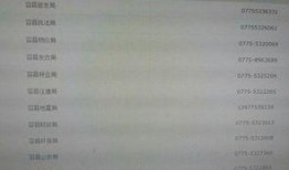 广西最新爆料新闻网站,聚焦热点事件，揭秘幕后真相